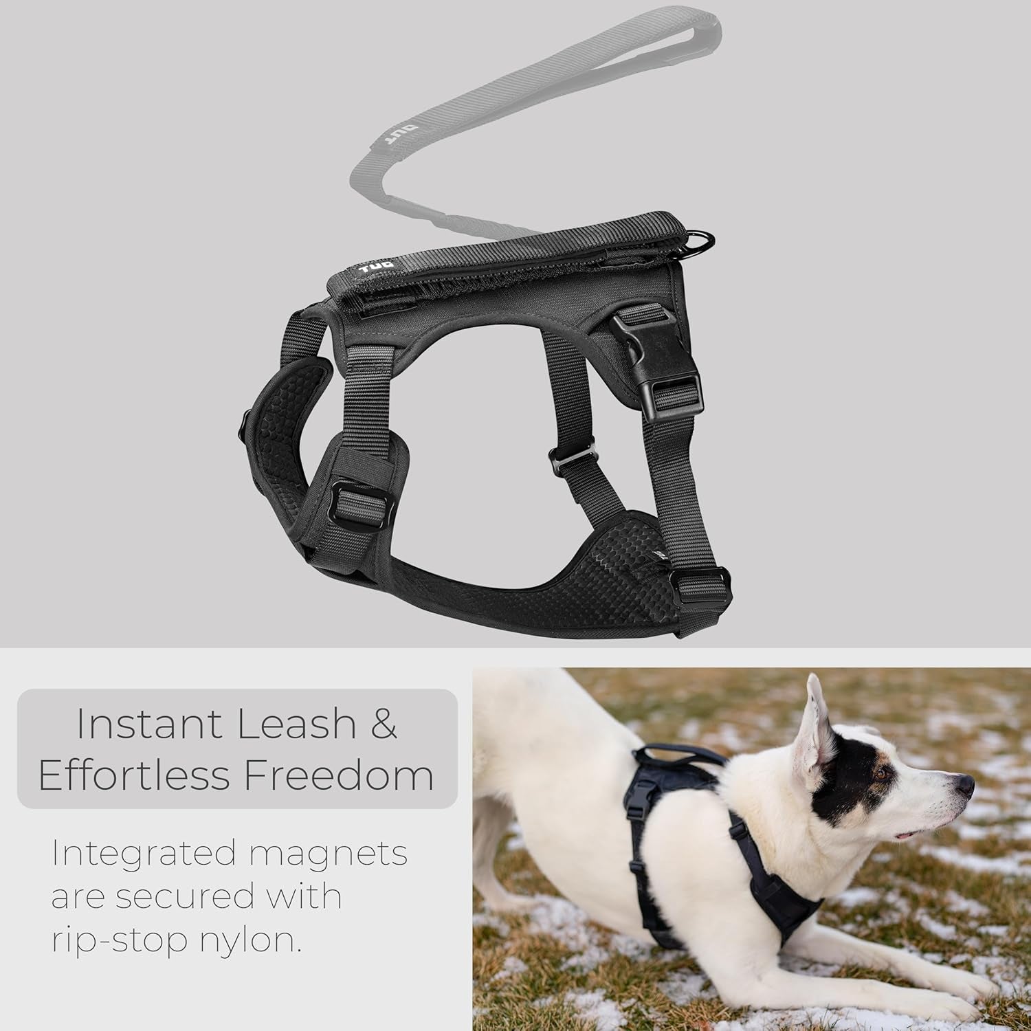Grab Dog Harness | Integrated Traffic Leash Magnetically Attached for Quick Control (Medium/Black)