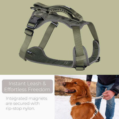 Grab Dog Harness | Integrated Traffic Leash Magnetically Attached for Quick Control (Large/Green)