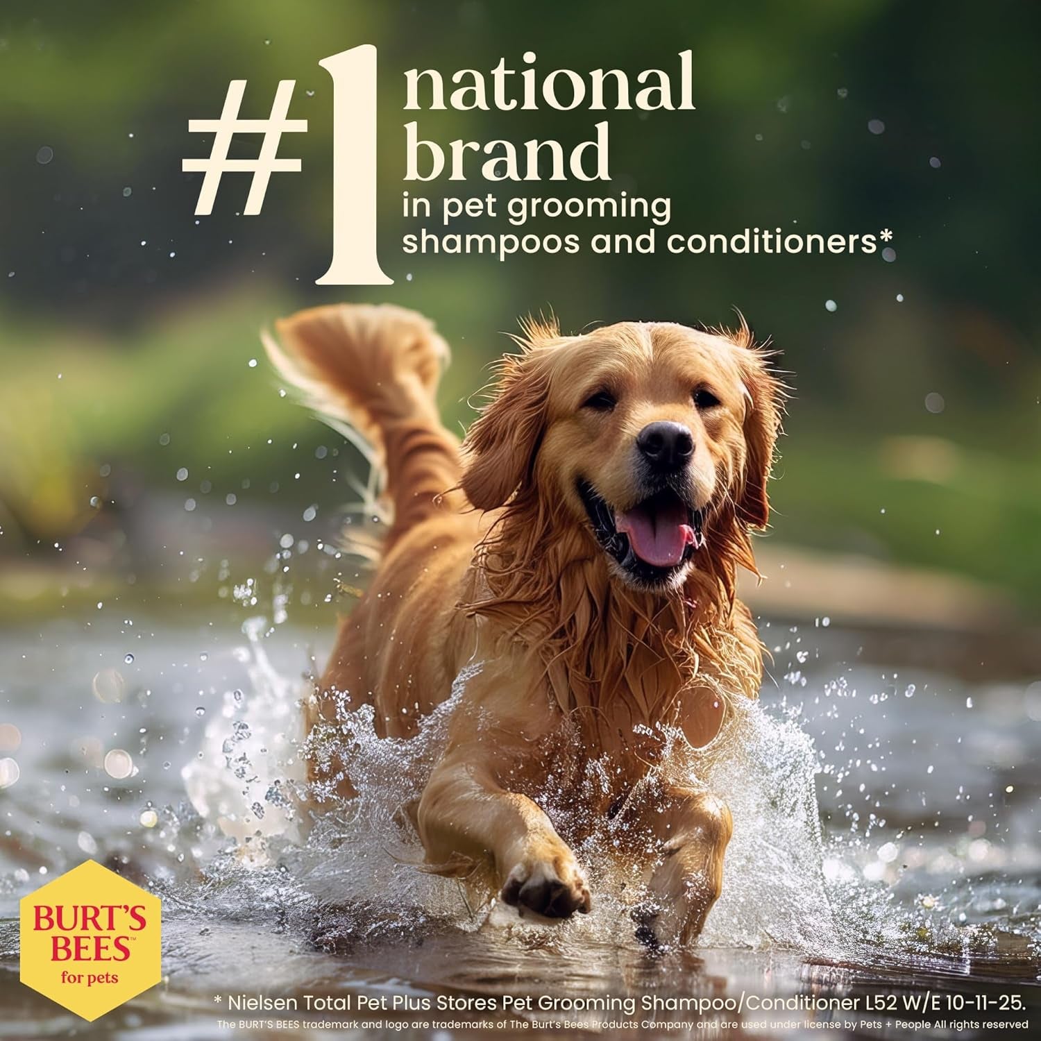 Hypoallergenic Dog Shampoo with Shea Butter and Honey, Gentle Fragrance Free Shampoo for Sensitive Dogs with 95% Natural Origin Skin and Coat Formula, 16 Fl Oz - 2 Pack