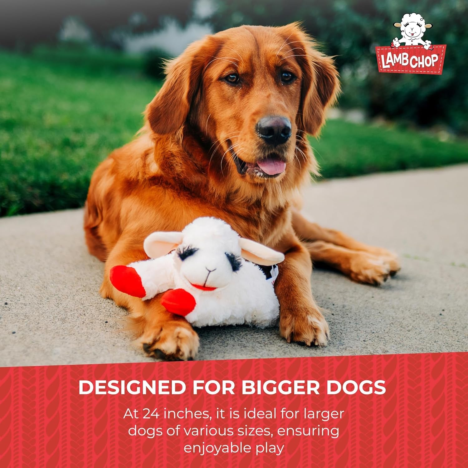 Lamb Chop Dog Plush Toy - Jumbo (24", Cream)