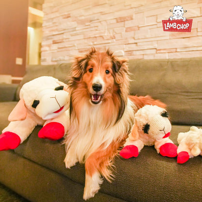 Lamb Chop Dog Plush Toy - Jumbo (24", Cream)