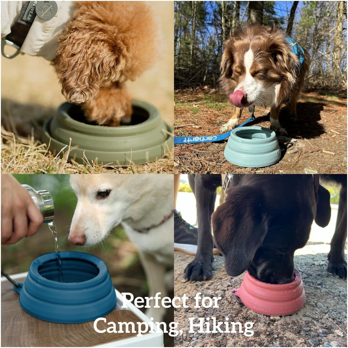 Spill Proof Collapsible Dog Water Bowl 24Oz for Cars