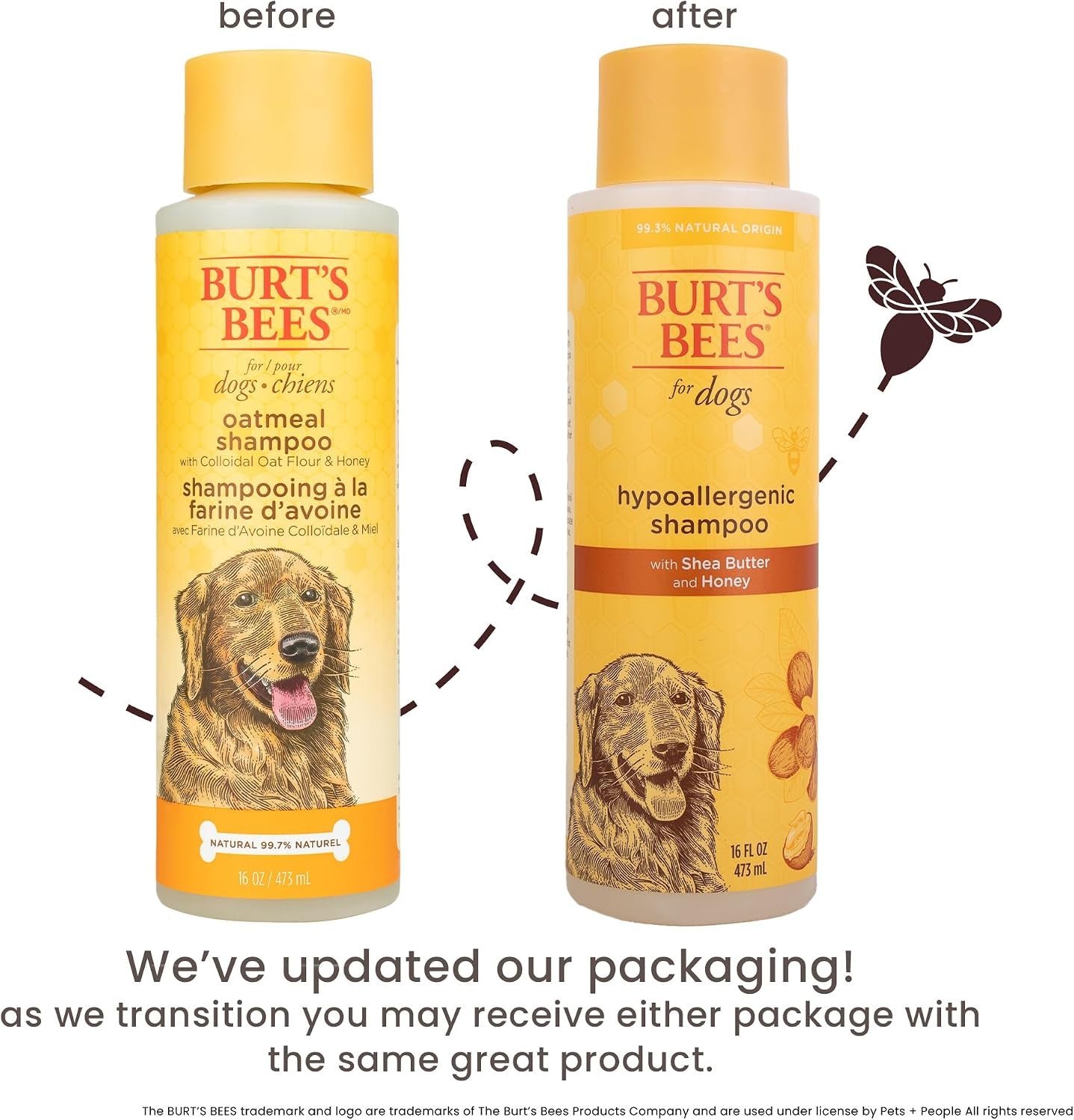 Hypoallergenic Dog Shampoo with Shea Butter and Honey, Gentle Fragrance Free Shampoo for Sensitive Dogs with 95% Natural Origin Skin and Coat Formula, 16 Fl Oz - 2 Pack