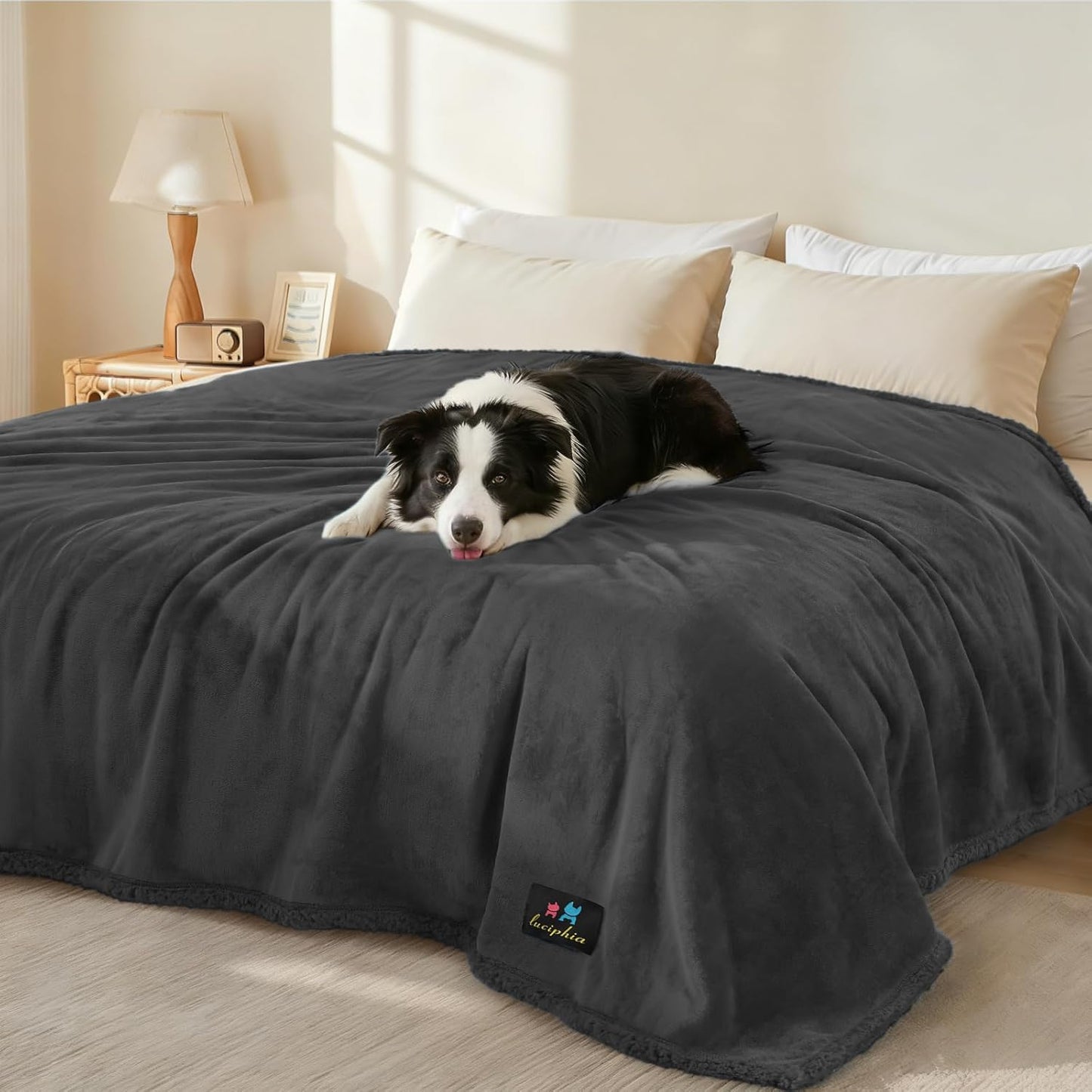 Waterproof Sherpa Pet Blanket Black Small（40" X 28"）