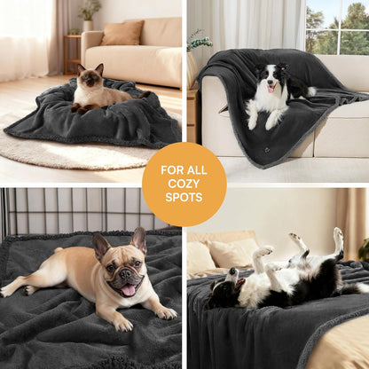 Waterproof Sherpa Pet Blanket Black Small（40" X 28"）