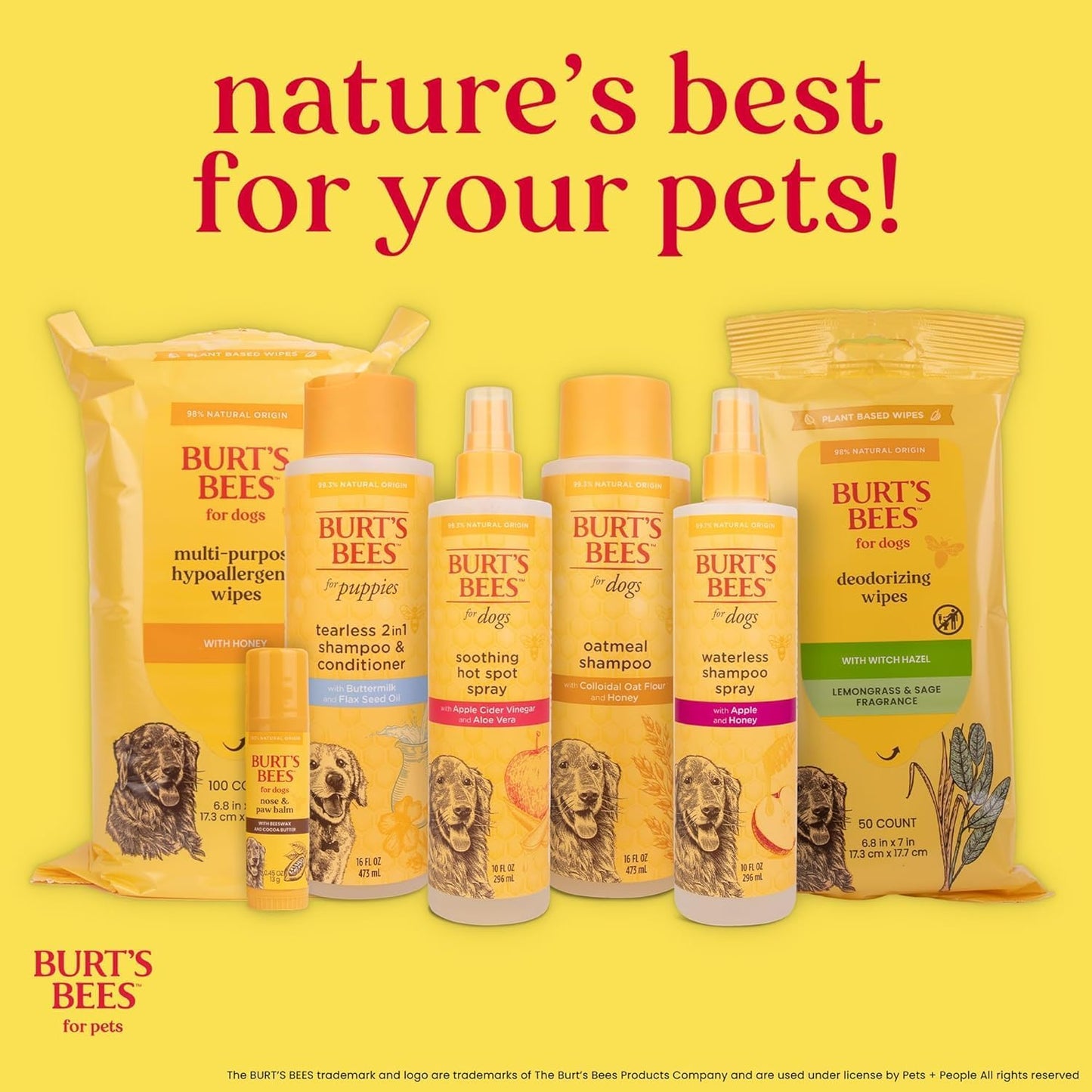 Hypoallergenic Dog Shampoo with Shea Butter and Honey, Gentle Fragrance Free Shampoo for Sensitive Dogs with 95% Natural Origin Skin and Coat Formula, 16 Fl Oz - 2 Pack