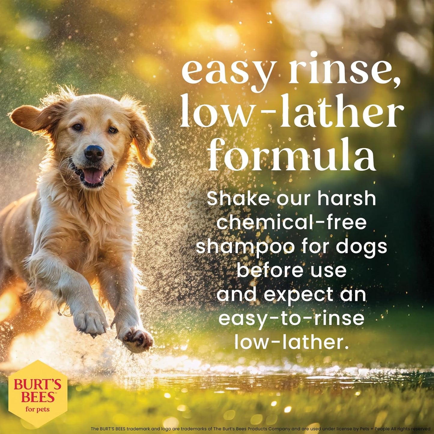 Hypoallergenic Dog Shampoo with Shea Butter and Honey, Gentle Fragrance Free Shampoo for Sensitive Dogs with 95% Natural Origin Skin and Coat Formula, 16 Fl Oz - 2 Pack
