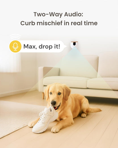 Mini Pet Camera: Basic See & Talk Features, No AI Alerts, No Subscription Required, Pet Security Cam W/Barking/Meowing Alerts, 130° Wide Angle View, 2-Way Audio, Smart Home Monitoring