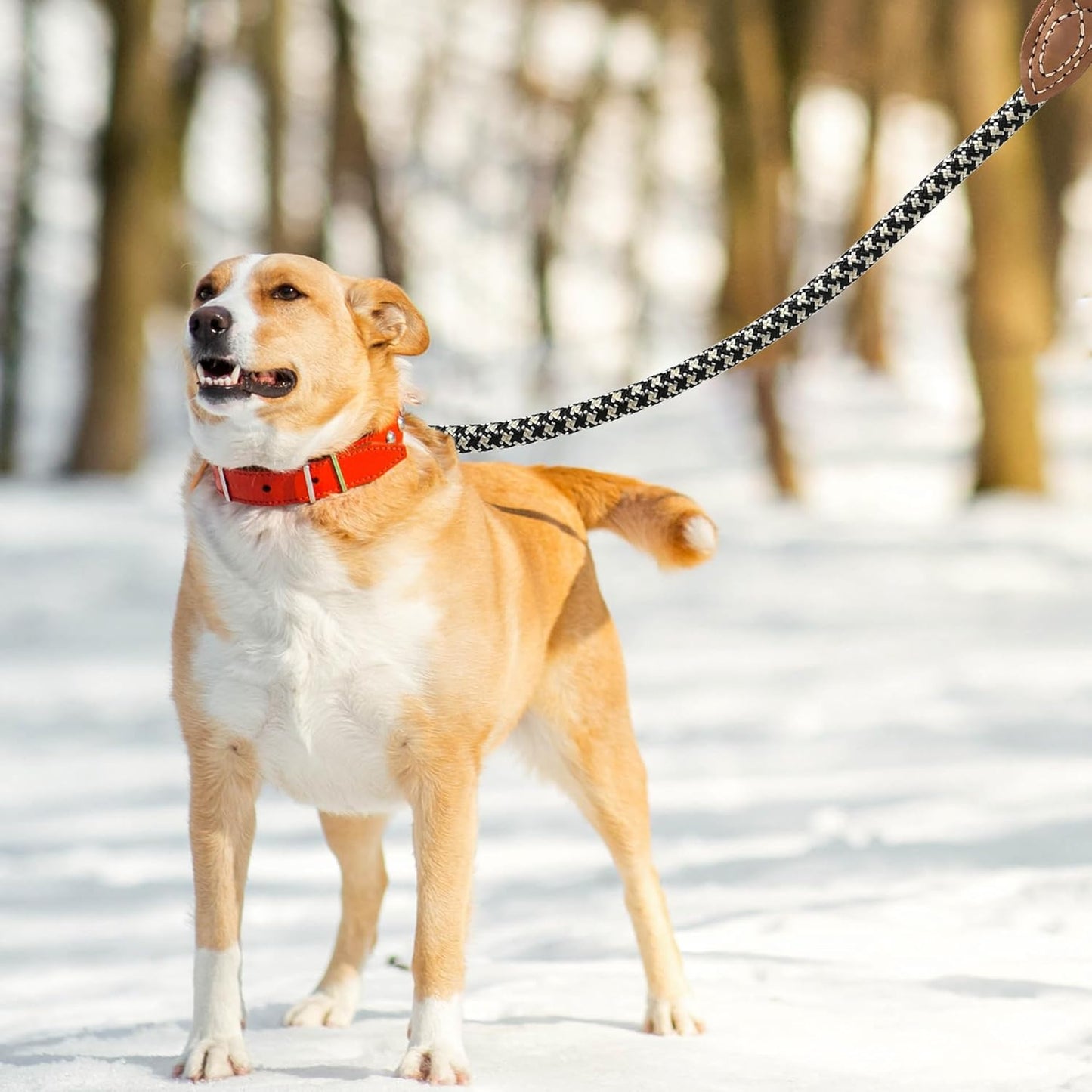 Mile High Life Leather Rope Dog Leash- Black Khaki