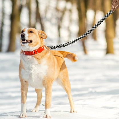 Mile High Life Leather Rope Dog Leash- Black Khaki