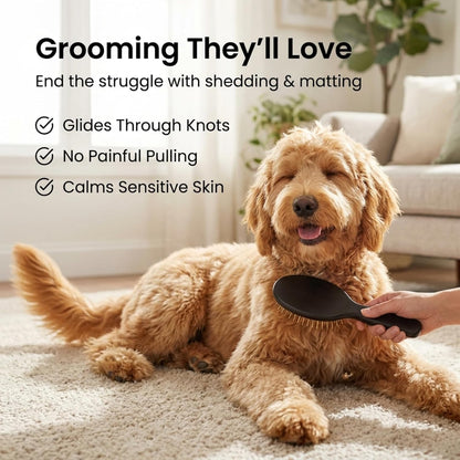 Pin Brush for Dogs, Pet Grooming Detangler Pin Dog Brush, Dog Brush for Shedding and Removing Loose Fur, Lightweight Beech Wood (Gold Pins)