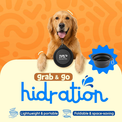 Collapsible Dog Bowl 28 Oz (Large) - Foldable Silicone Travel Pet Bowl with Carabiner Clip - Portable Food & Water Pet Bowl for Dogs & Cats, Lightweight for Hiking, Camping & Travel-Black