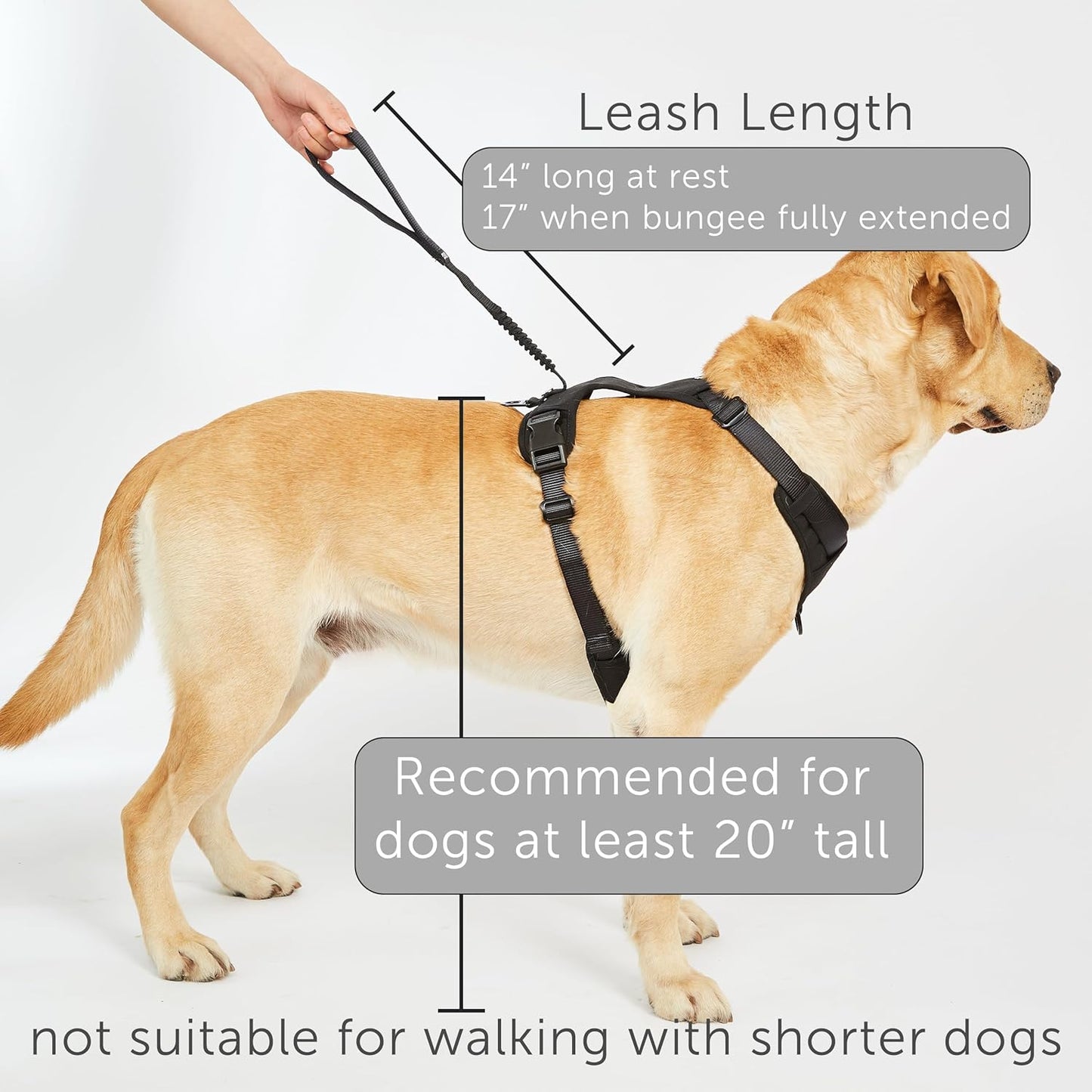 Grab Dog Harness | Integrated Traffic Leash Magnetically Attached for Quick Control (Medium/Black)
