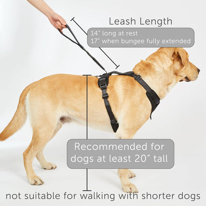 Grab Dog Harness | Integrated Traffic Leash Magnetically Attached for Quick Control (Medium/Black)