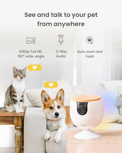 Mini Pet Camera: Basic See & Talk Features, No AI Alerts, No Subscription Required, Pet Security Cam W/Barking/Meowing Alerts, 130° Wide Angle View, 2-Way Audio, Smart Home Monitoring