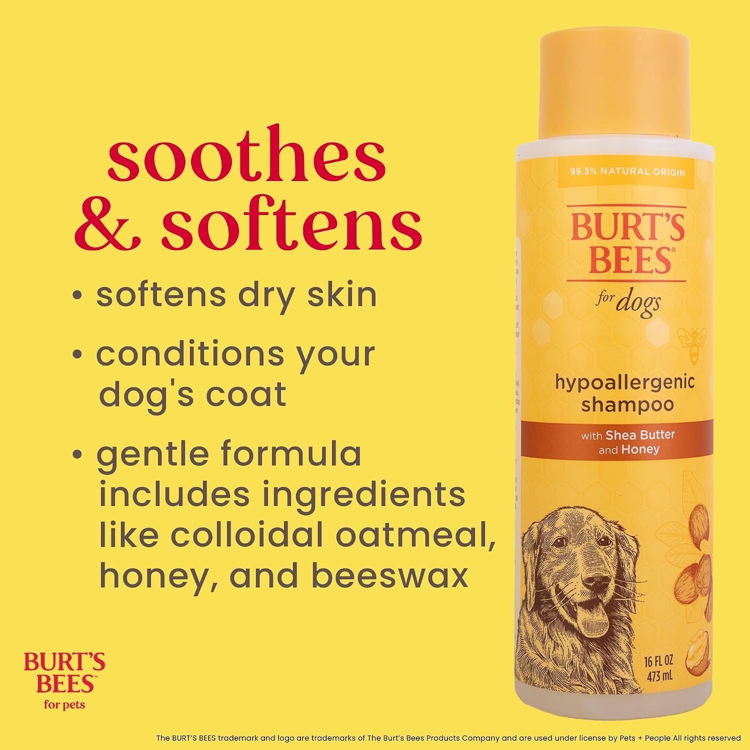 Hypoallergenic Dog Shampoo with Shea Butter and Honey, Gentle Fragrance Free Shampoo for Sensitive Dogs with 95% Natural Origin Skin and Coat Formula, 16 Fl Oz - 2 Pack