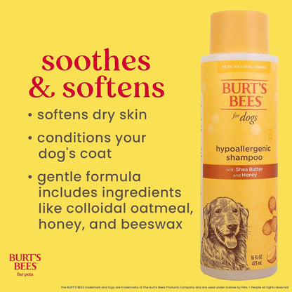 Hypoallergenic Dog Shampoo with Shea Butter and Honey, Gentle Fragrance Free Shampoo for Sensitive Dogs with 95% Natural Origin Skin and Coat Formula, 16 Fl Oz - 2 Pack