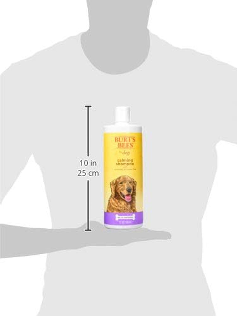 Calming Dog Shampoo with Lavender and Green Tea, 95% Natural Origin Formulas, Calming Lavender Dog Shampoo - Gentle Dog Shampoo, Best Dog Shampoo, Lavender, 32 Oz